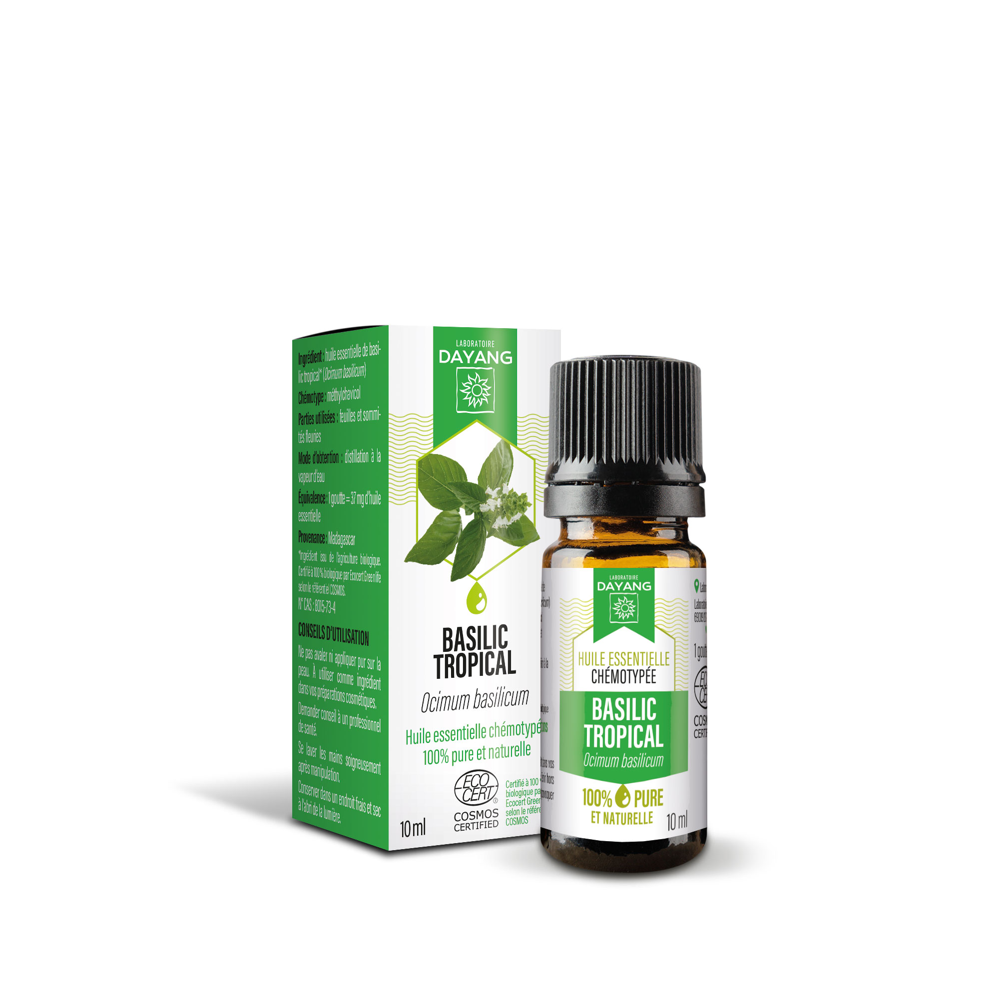 Basilic tropical BIO