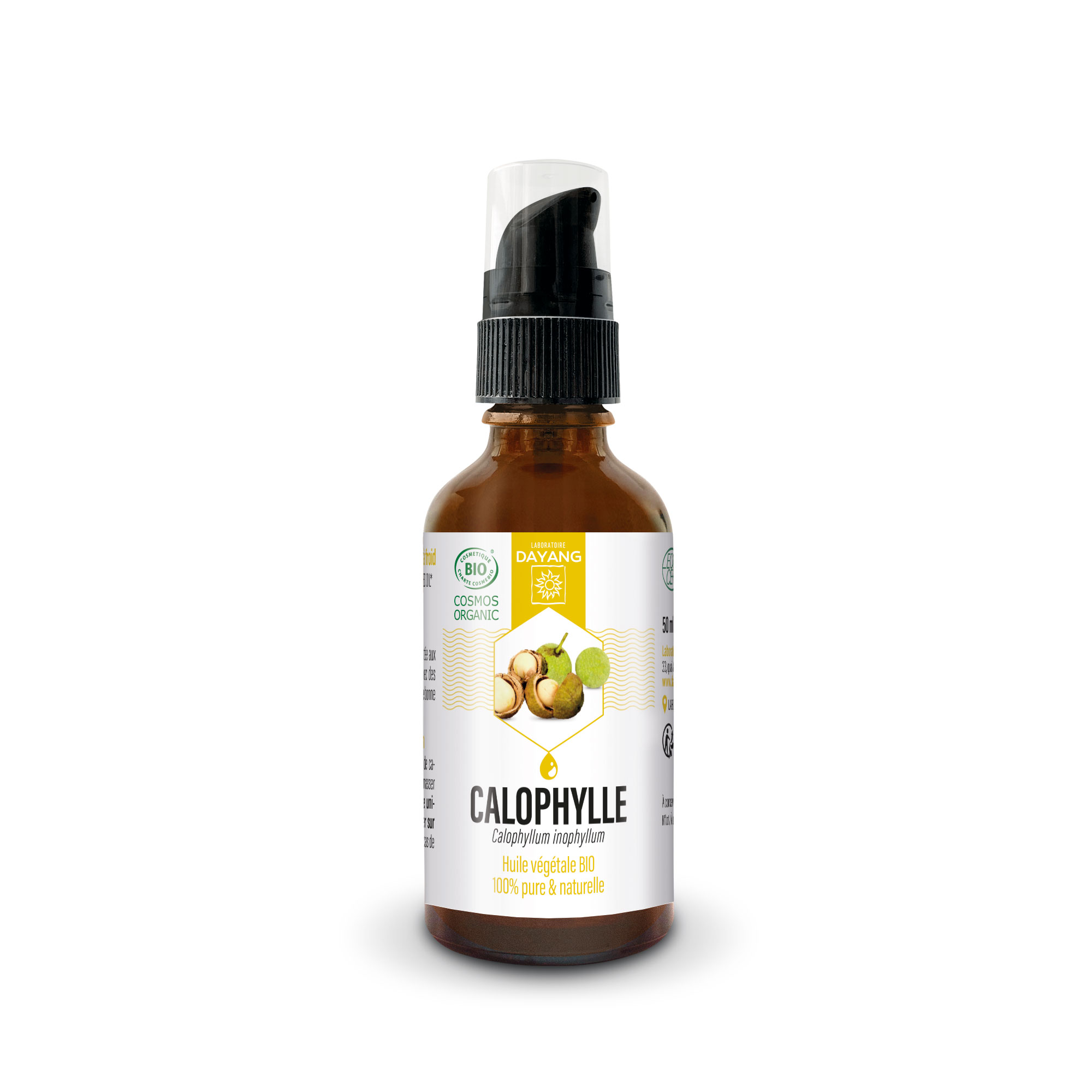 Calophylle BIO