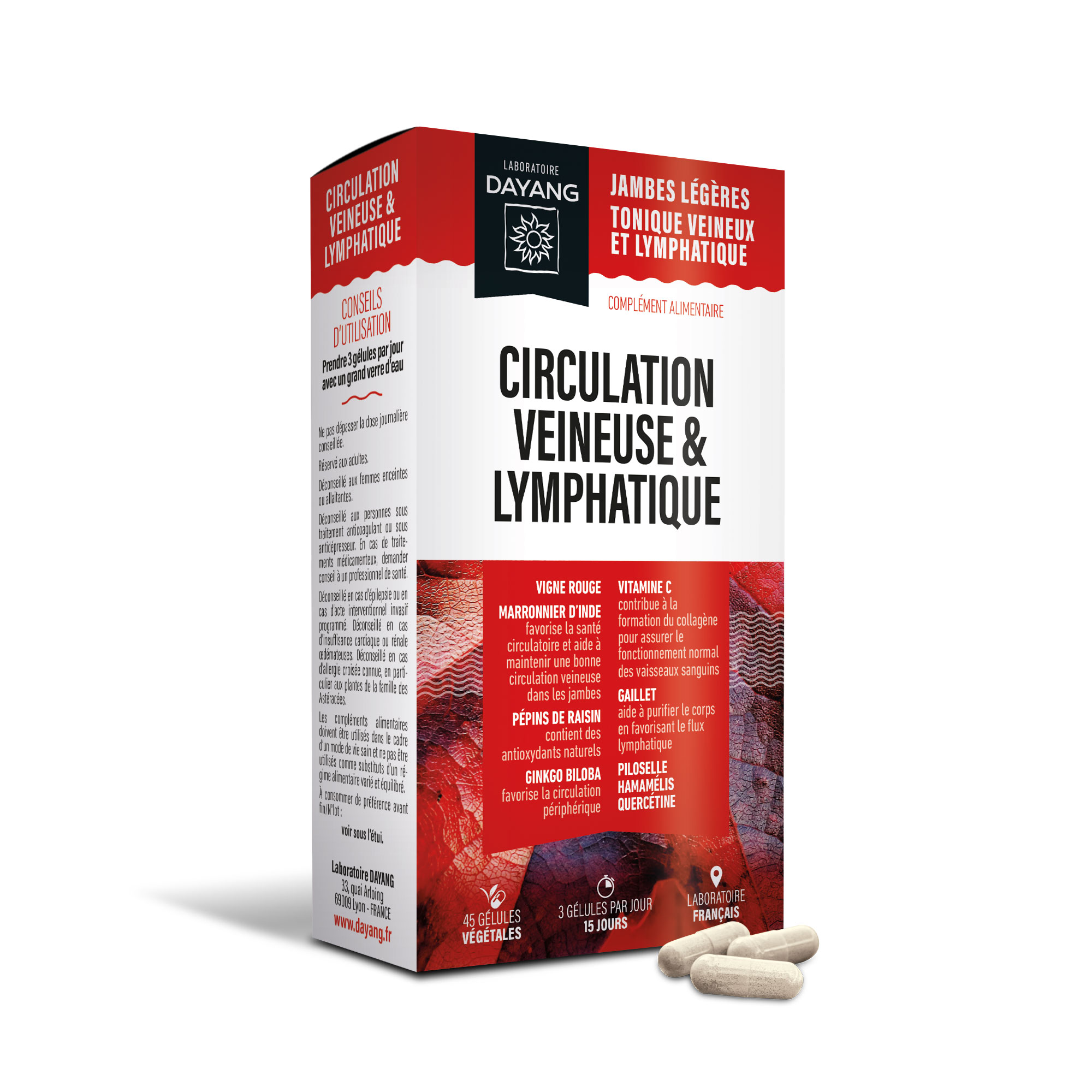Circulation veineuse et lymphatique