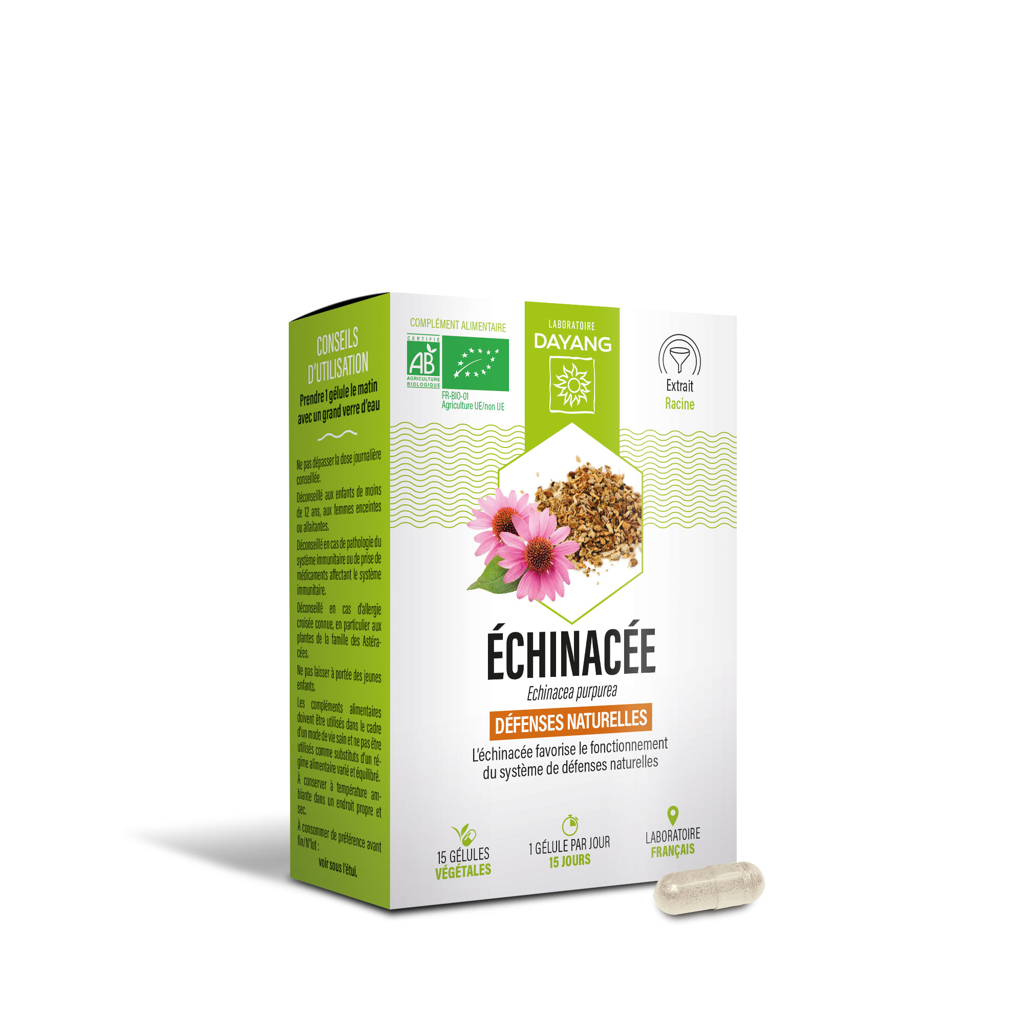 Echinacée BIO