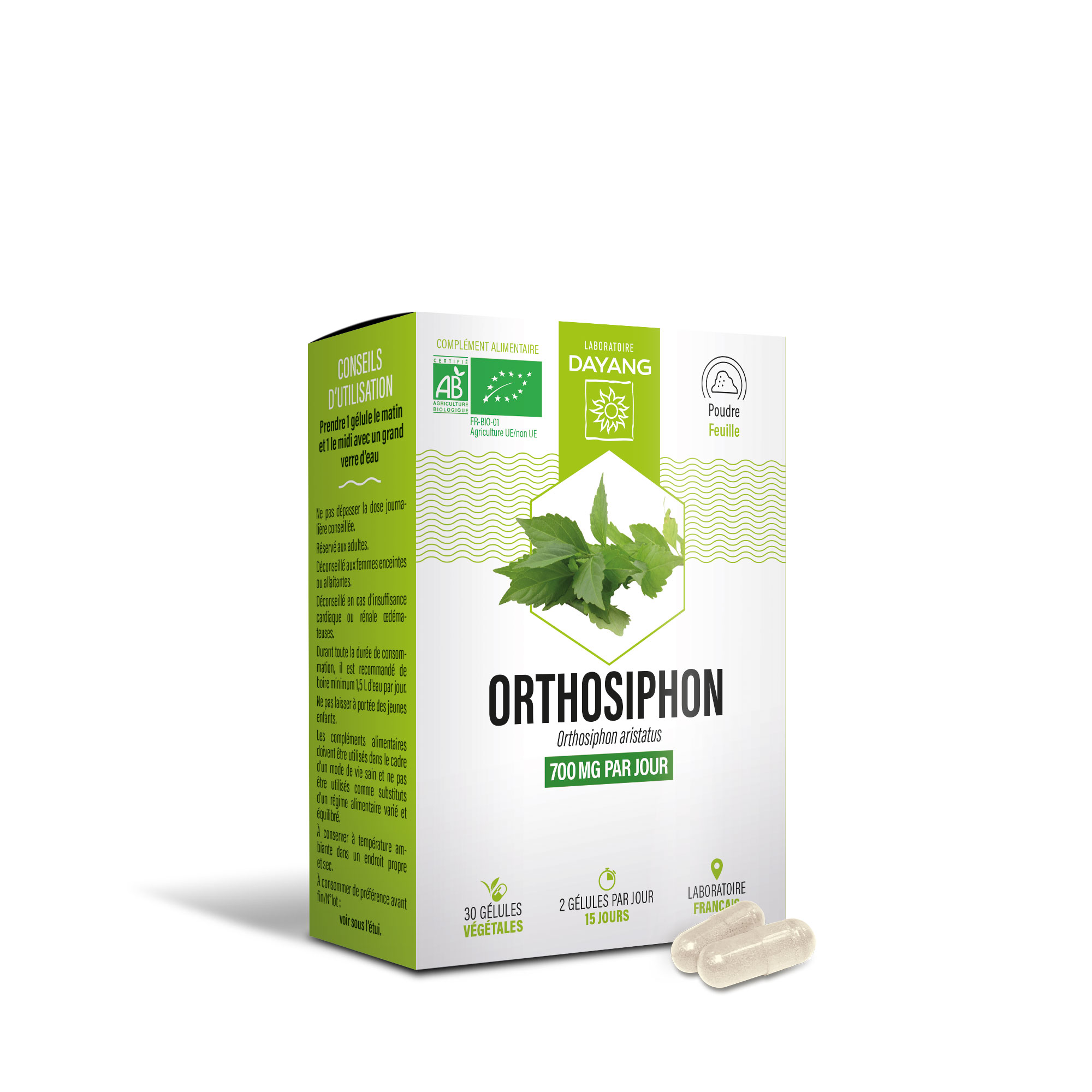 Orthosiphon BIO