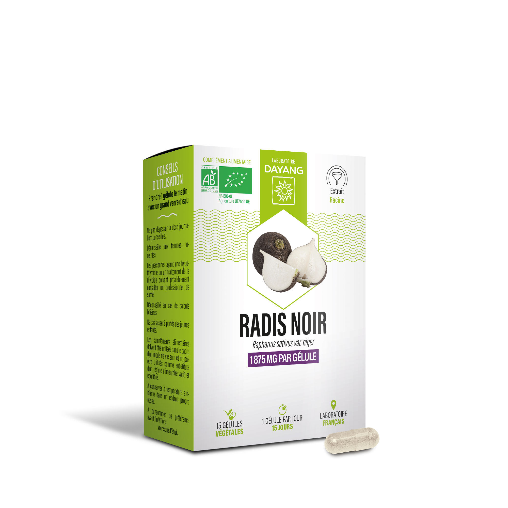 Radis noir BIO