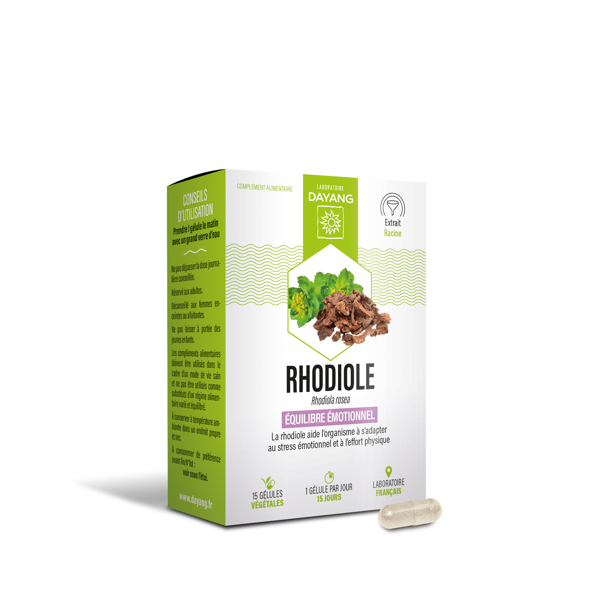 Rhodiole