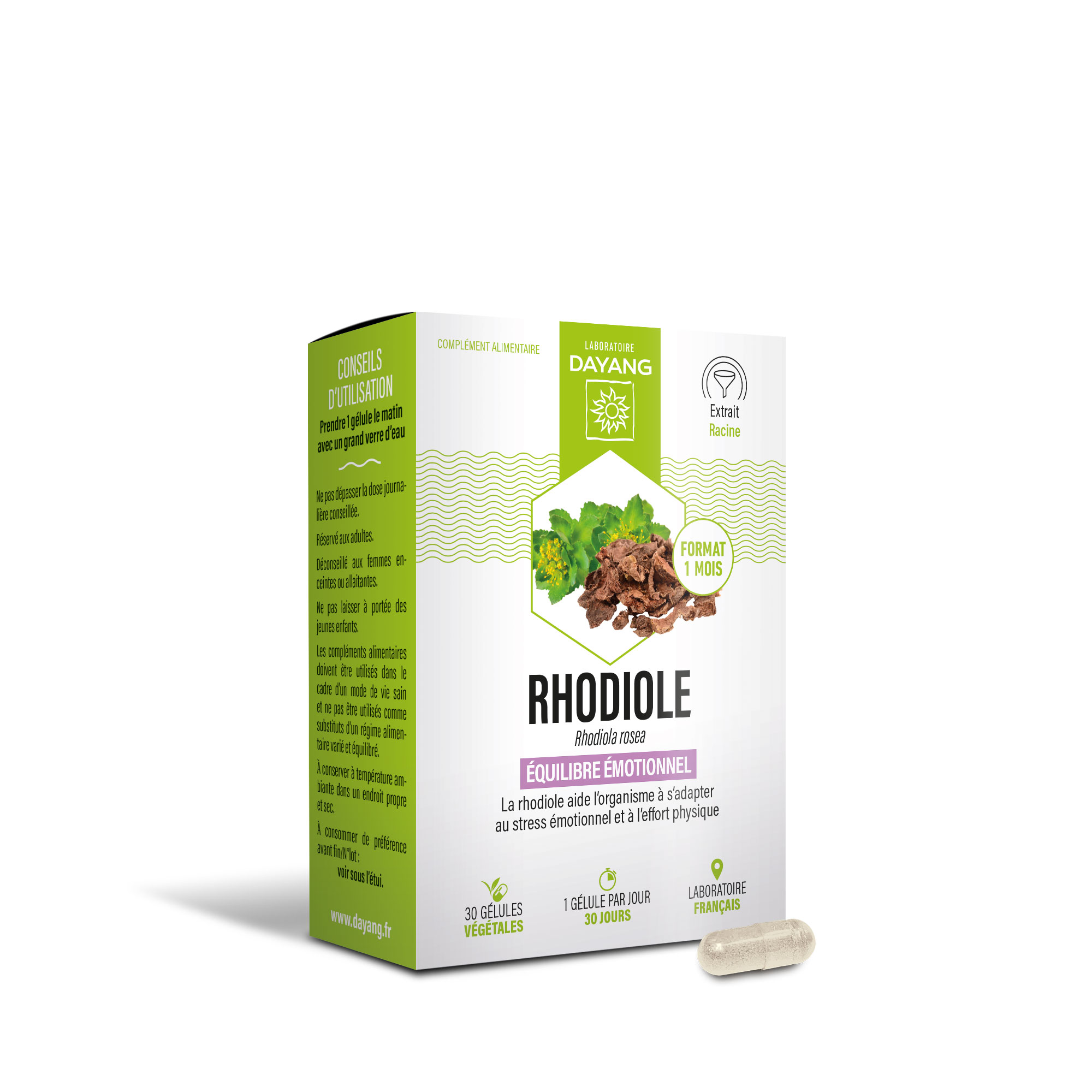 Rhodiole